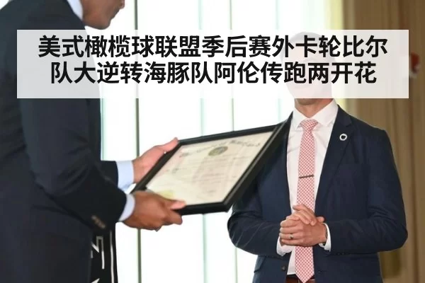 美式橄榄球联盟季后赛外卡轮比尔队大逆转海豚队阿伦传跑两开花